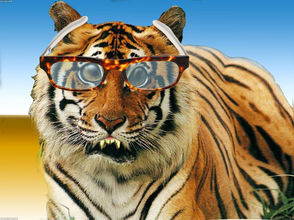 ឧទាហរណ៍ស្លតនិងការប្រើប្រាស់វា