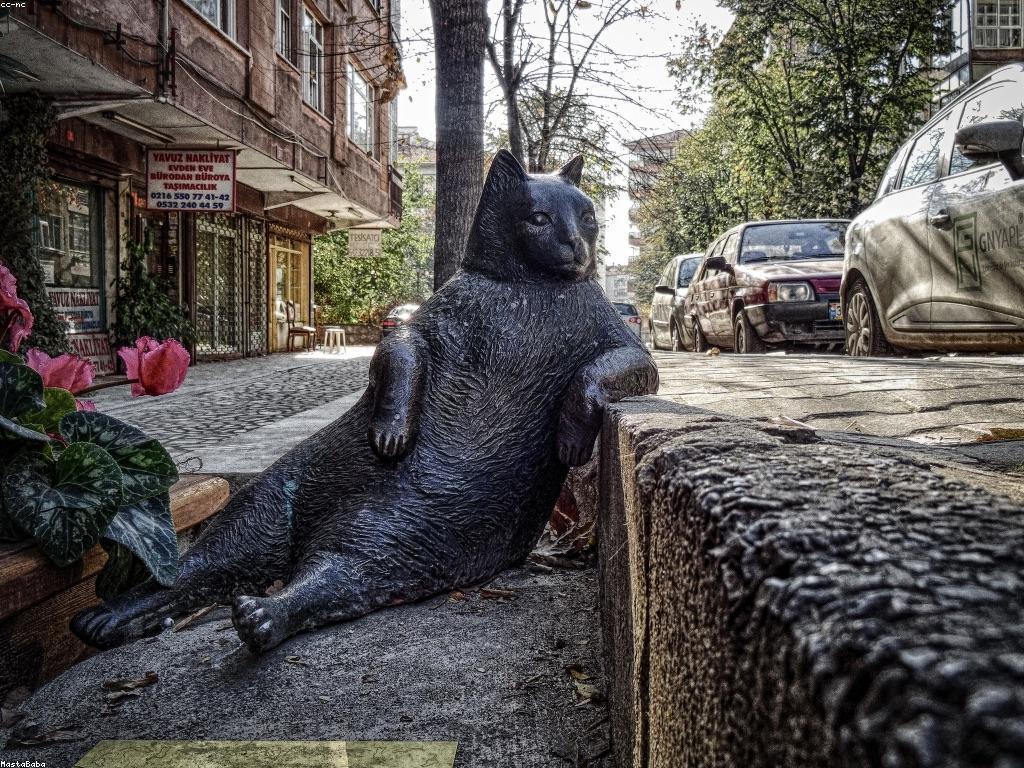 ឧទាហរណ៍ស្លតនិងការប្រើប្រាស់វា