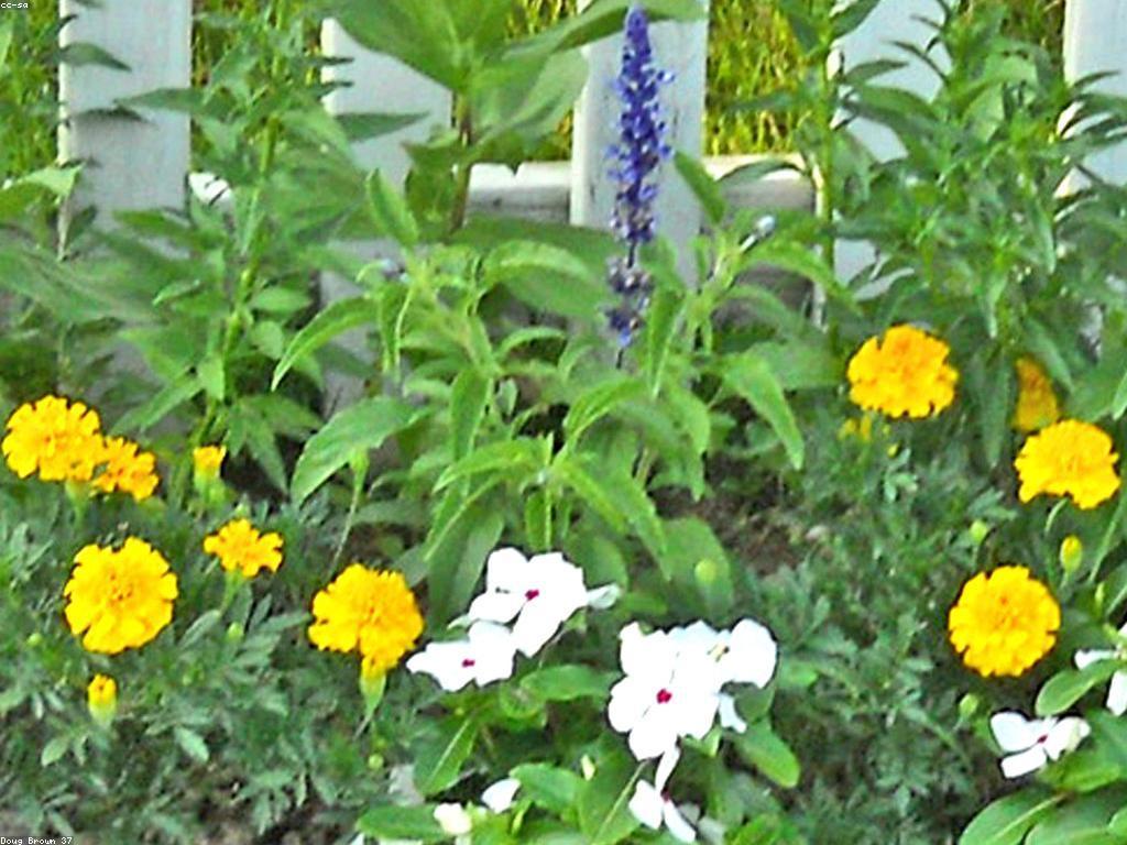 អត្ថប្រយោជន៍នៃស្លត